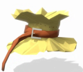 Straw Hat.png